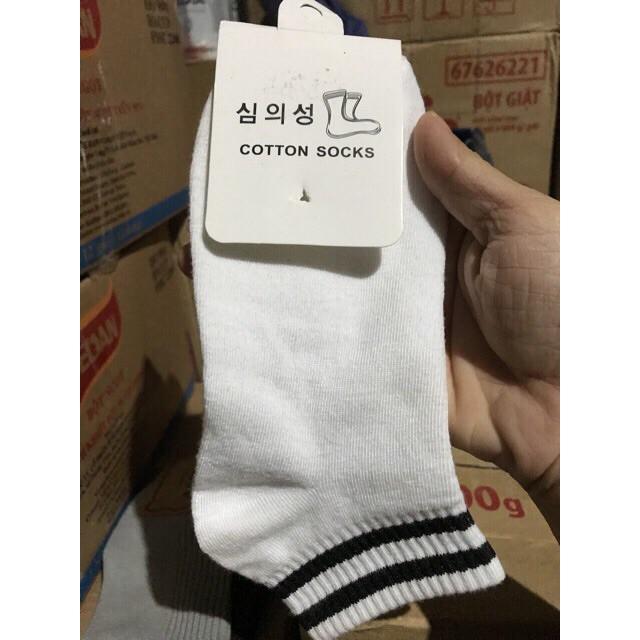 Set 10 Đôi Tất Kẻ Hàn Quốc - Thời Trang PKT