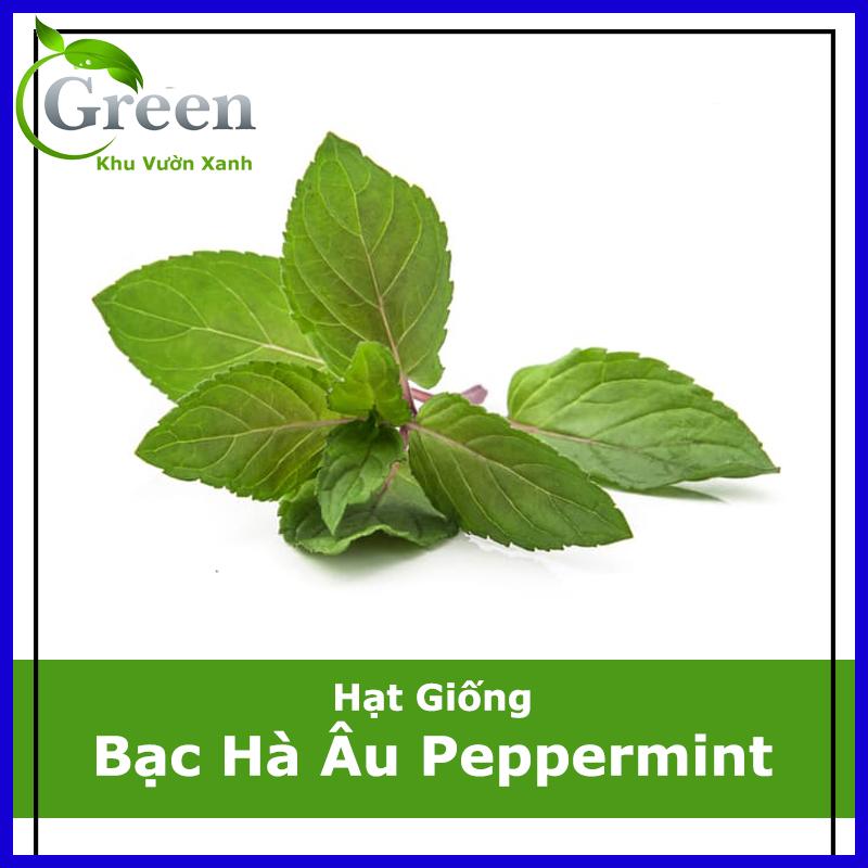 Hạt Giống Bạc Hà Âu Peppermint