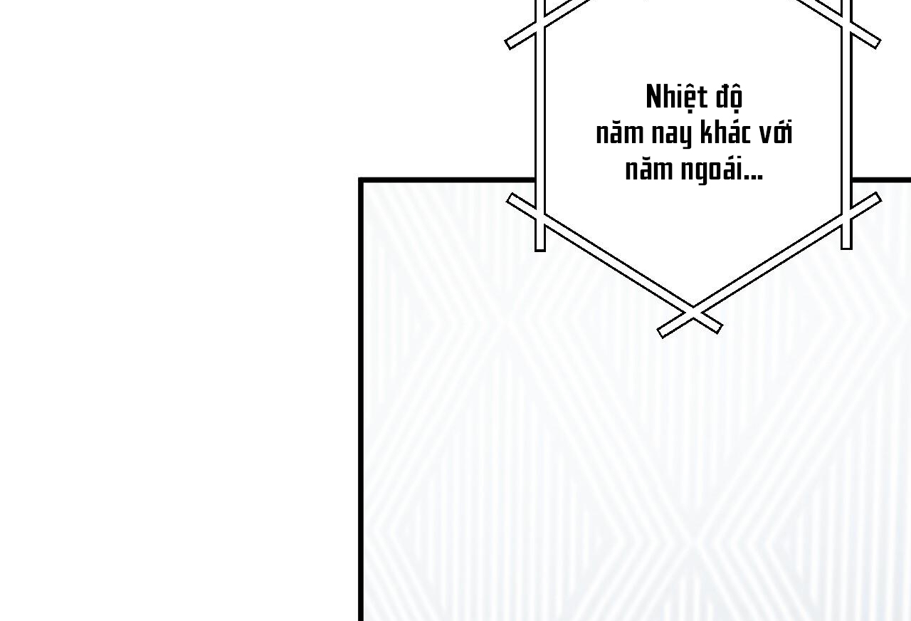 đàn thỏ của habibi chapter 65 230