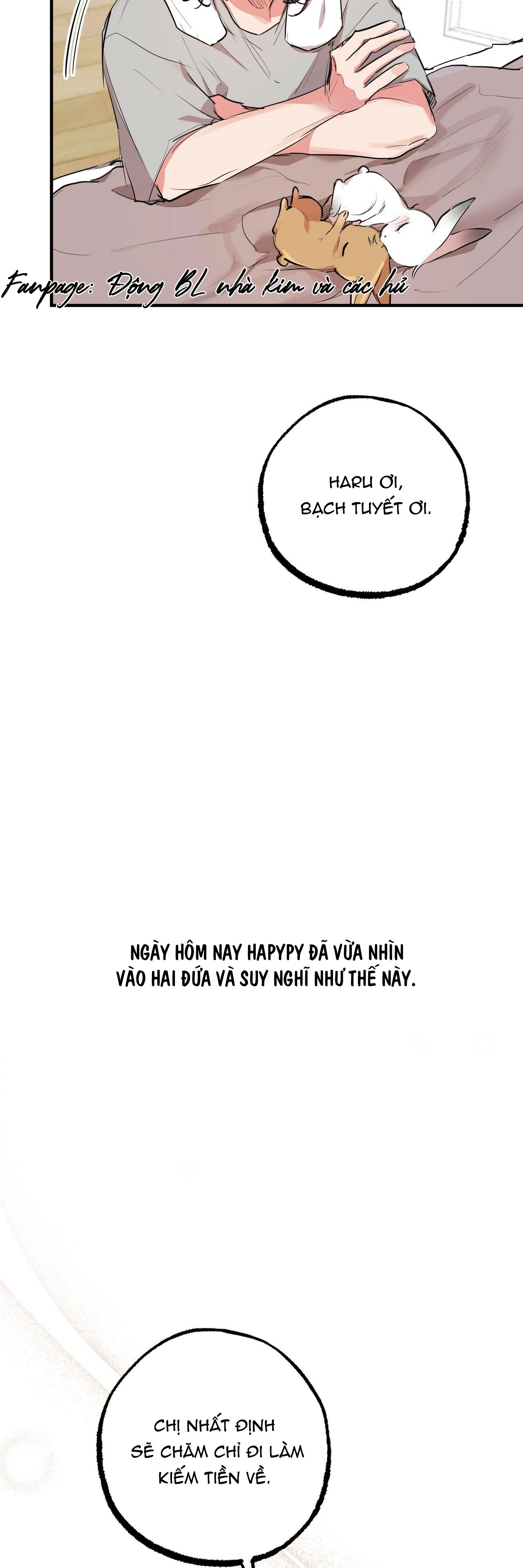 những chú thỏ của hapypy chapter 28 10