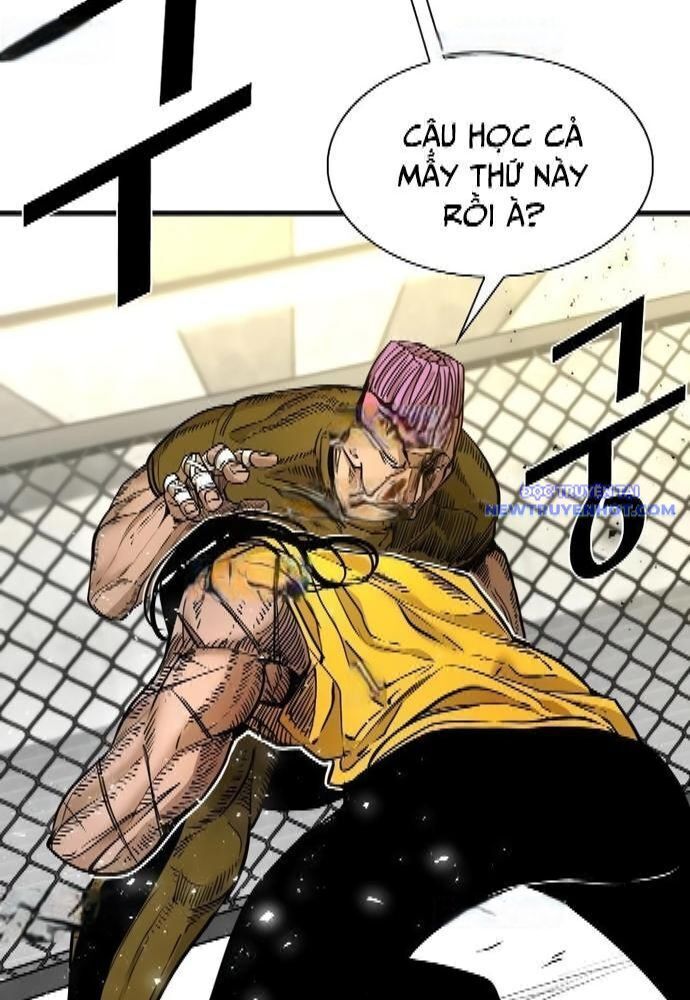 shark - cá mập chapter 323 49