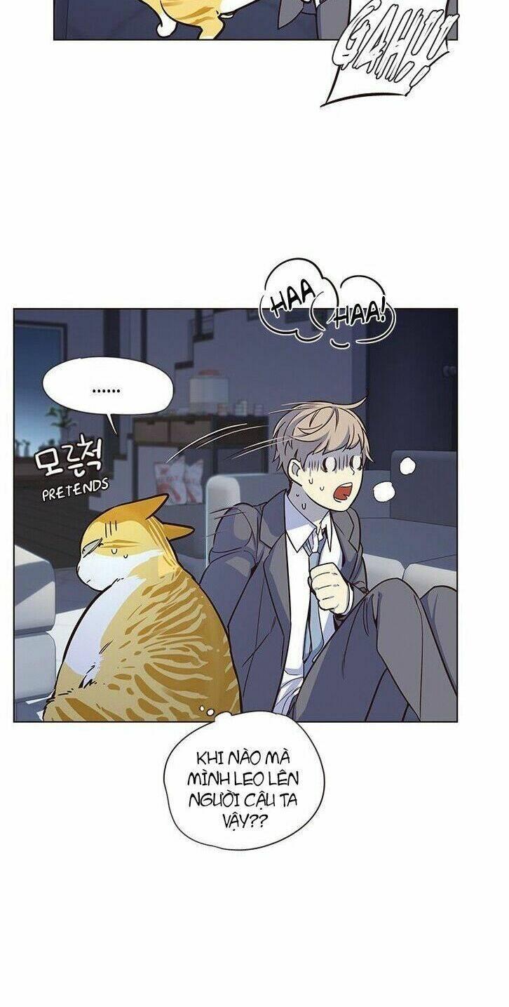 biến thân thành mèo chapter 8 26