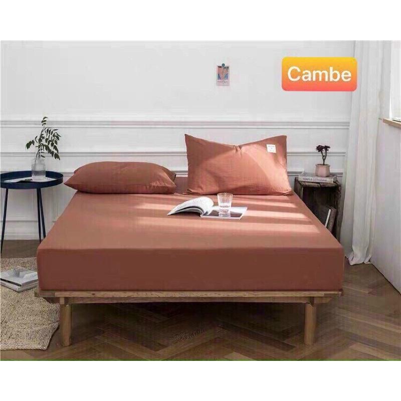 Sét ga 3 món tici cotton