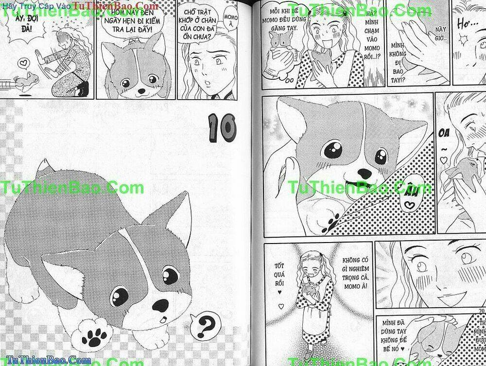 chó con mo mo chapter 1 36