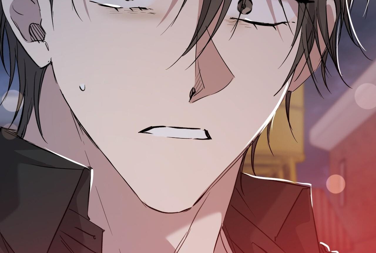 những chú thỏ của hapypy chapter 58 248