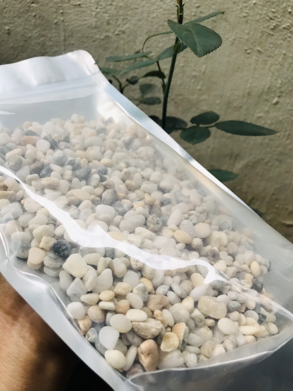 1kg đá sỏi màu hỗn hợp - đá trang trí trồng cây - trang trí bể cá - tiểu cảnh sân vườn