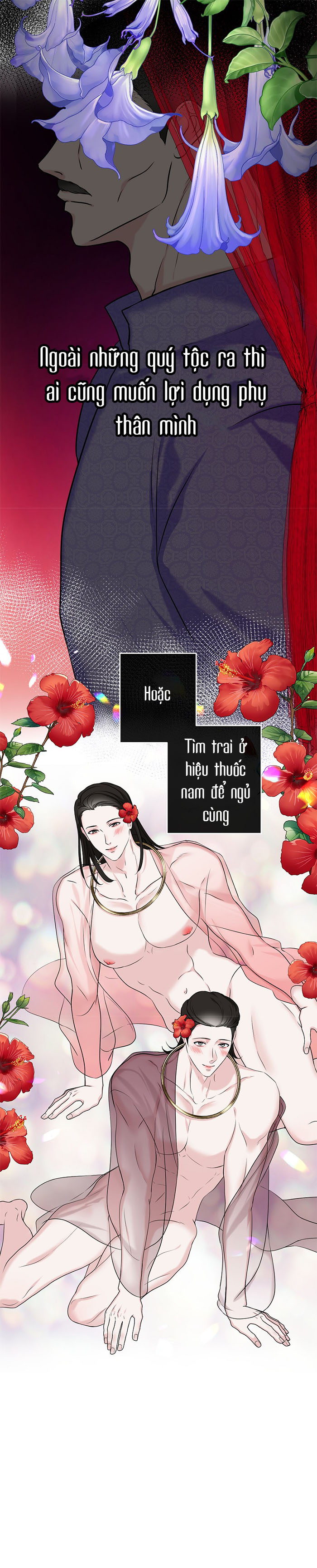 hoa kim châm batavia của ta chapter 2 5