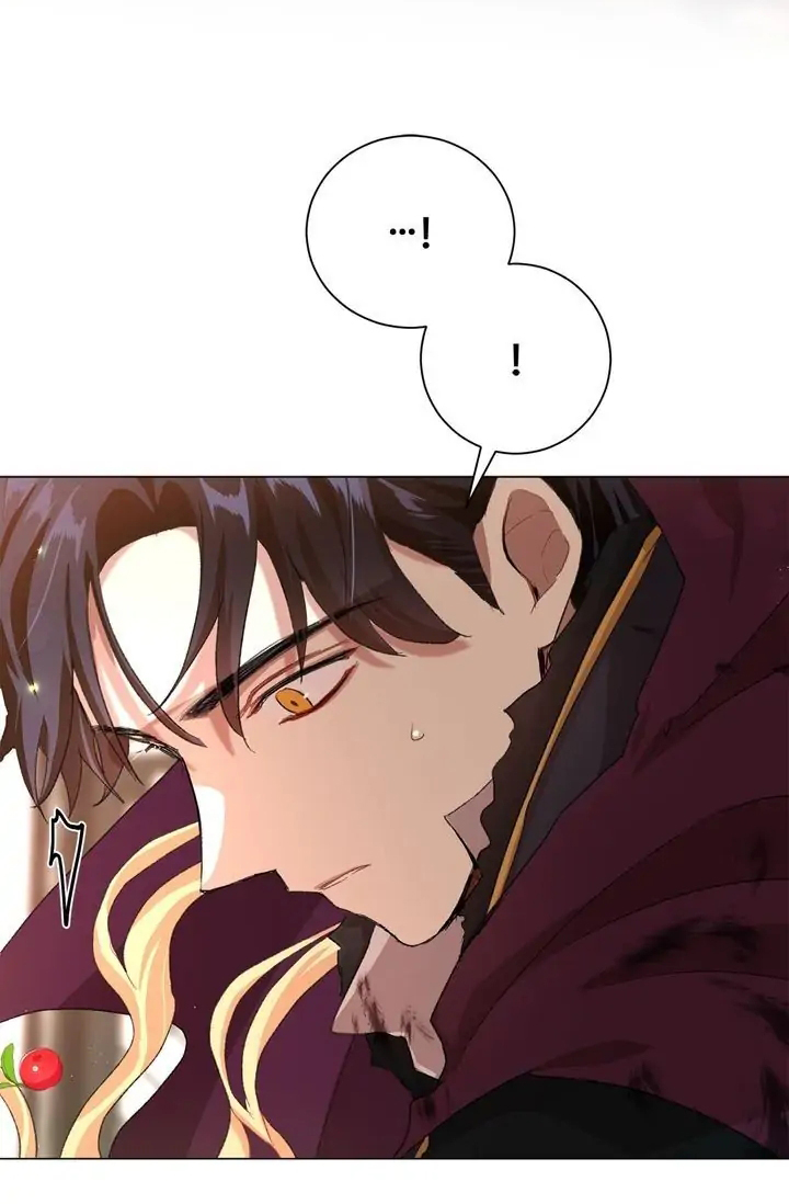 tôi là fan cứng hoàng tử chapter 63.2 5