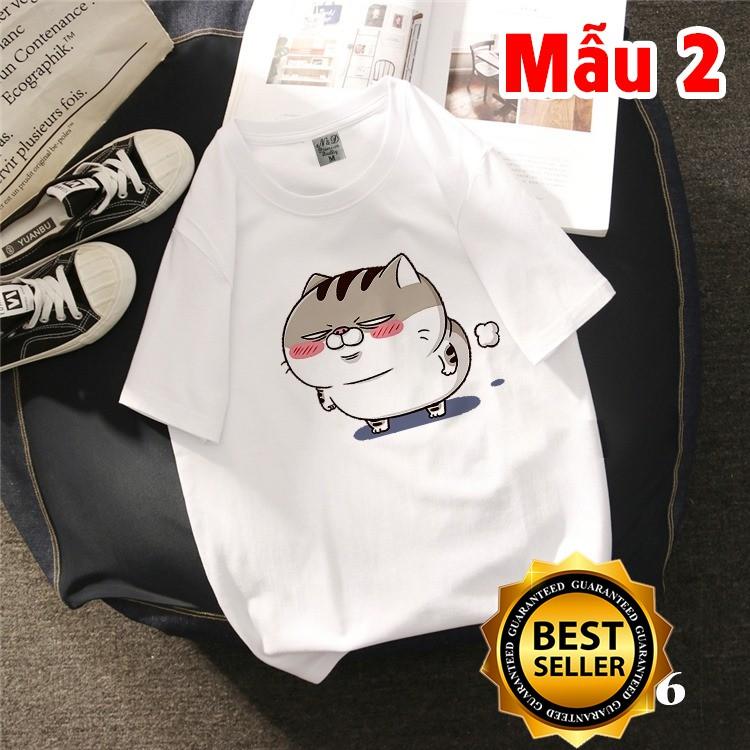 AlbumÁo Thun Unisex Mèo Ami Bụng Bự To Khổng Lồ Đẹp Giá Rẻ