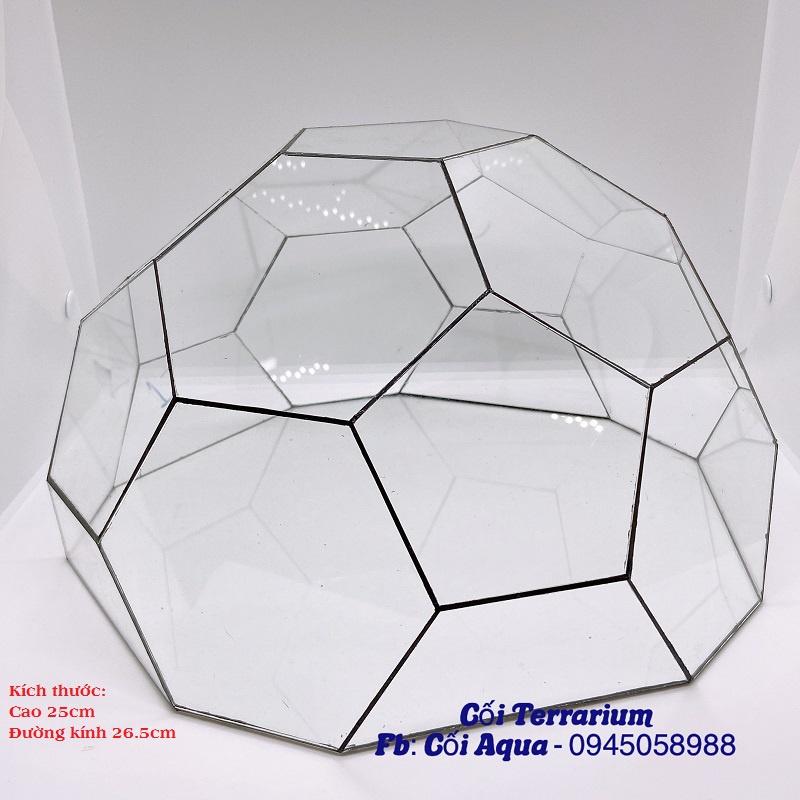 Bình thủy tinh Terrarium đa giác