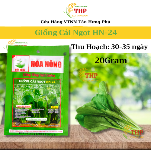 Hạt giống Cải Ngọt HN-24 | Hạt Giống | Gói 20gr