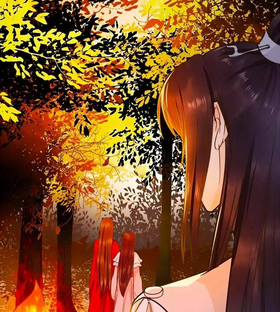 thần y khí nữ: ngự thú cuồng phi của quỷ đế chapter 63 69