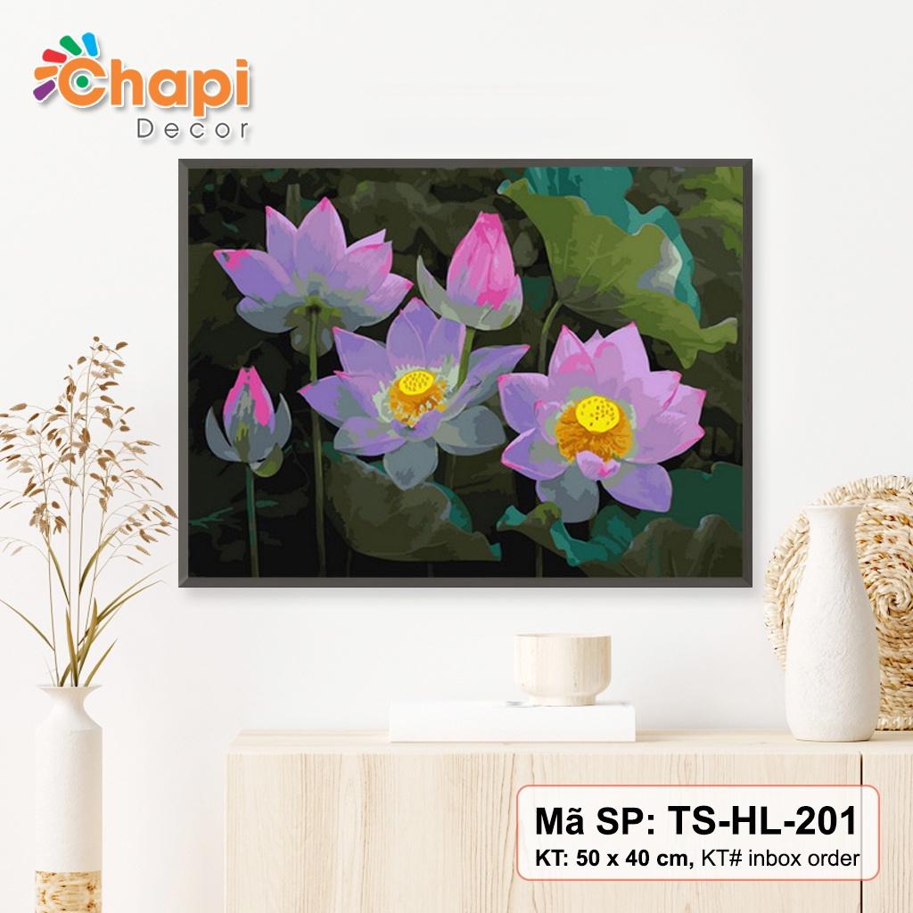 Tranh tô màu số hóa Chapi Hoa Sen KT 40x50 cm đã căng khung, Có dầu bóng