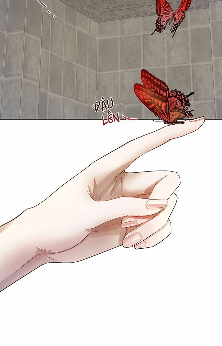 cách để cứu rỗi anh trai của nữ chính chapter 7 43