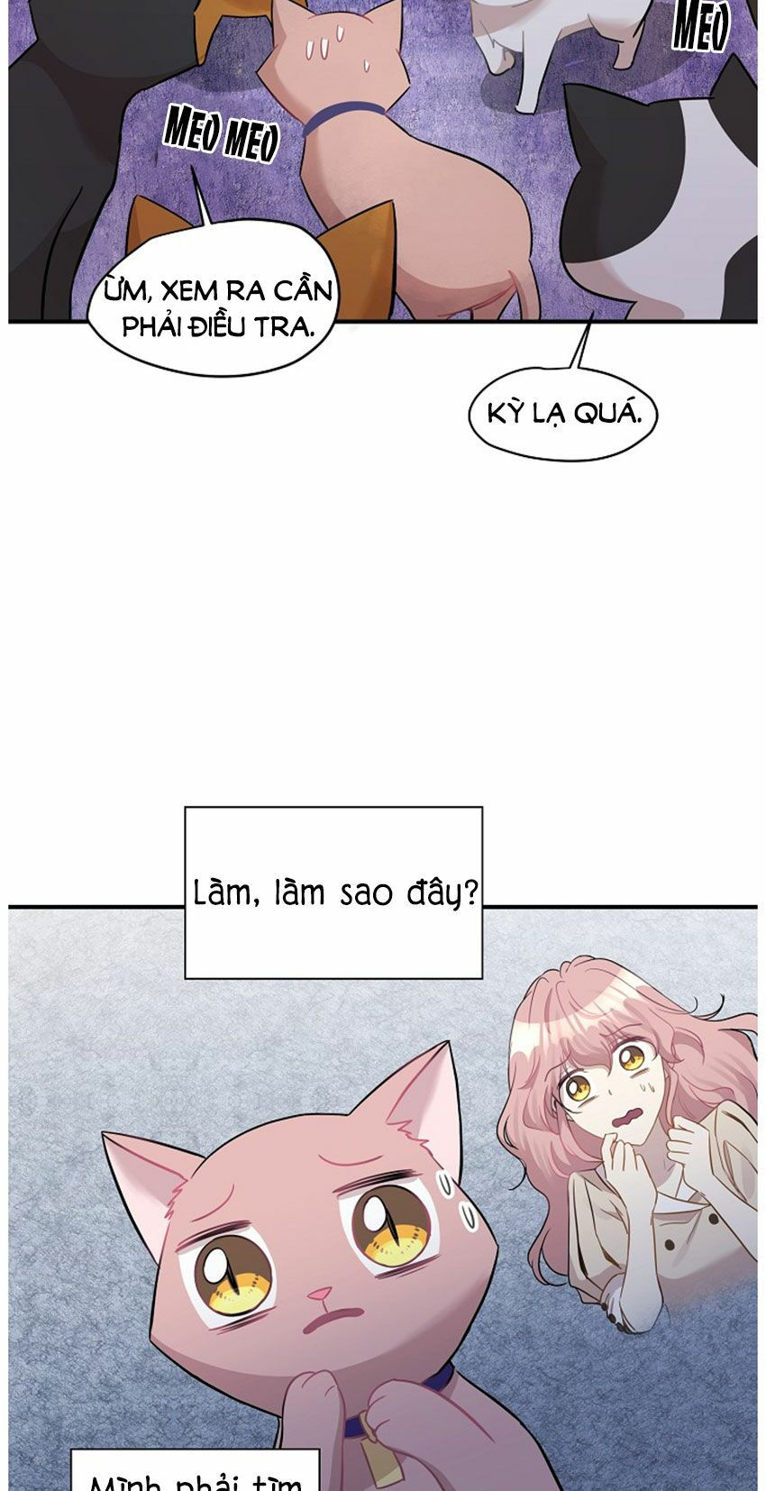 cuộc sống kỳ thú chapter 21 19