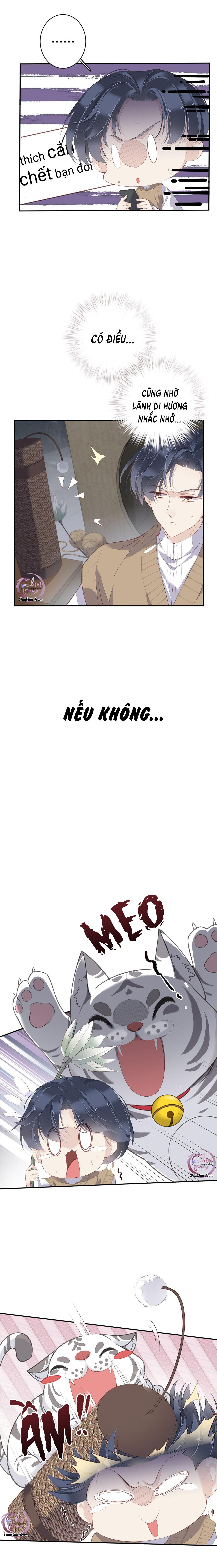 cuộc mai mối vượt giống loài chapter 1 9