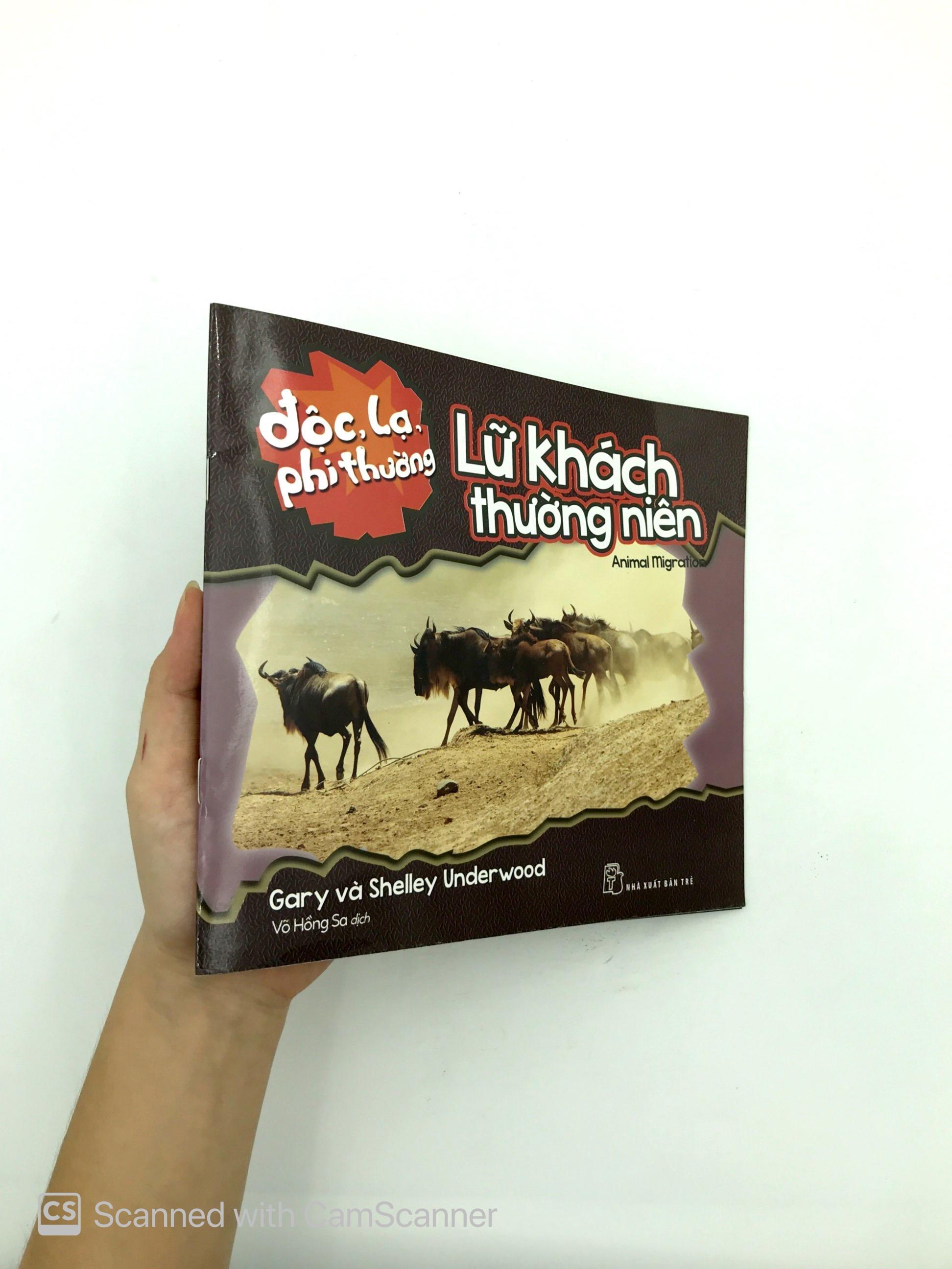 Độc Lạ Phi Thường - Lữ Khách Thường Niên