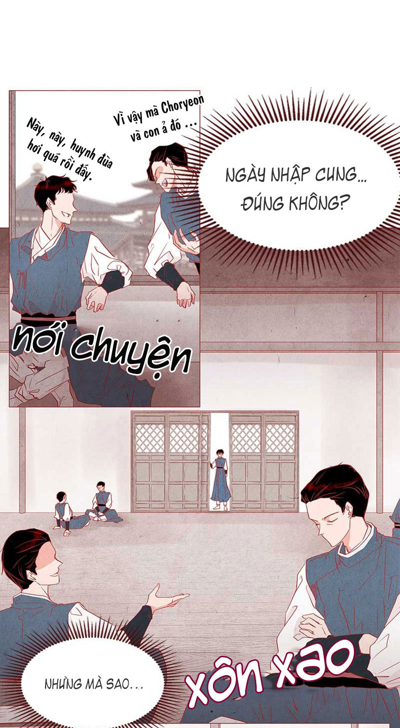liệu rắn có ăn hoa chapter 1 16