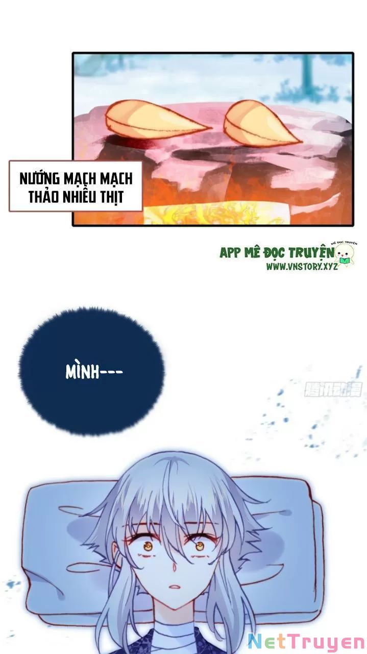 lại bị bệnh chiều chuộng quấn lấy chapter 19 31