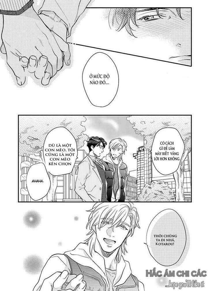 dorobou neko ni wa nusumena chapter 2 12