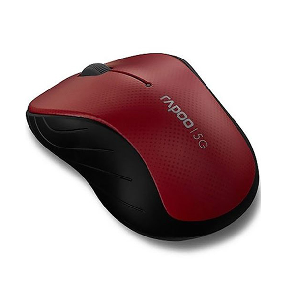 Chuột RAPOO 3000P