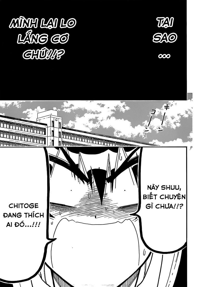 nisekoi - tình yêu giả tạo chapter 175 7