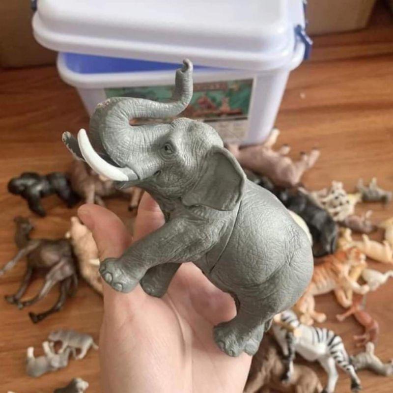 Bộ mô hình động vật 58 chi tiết thú rừng hoang dã nhựa an toàn giúp bé nhận biết thế giới xung quanh