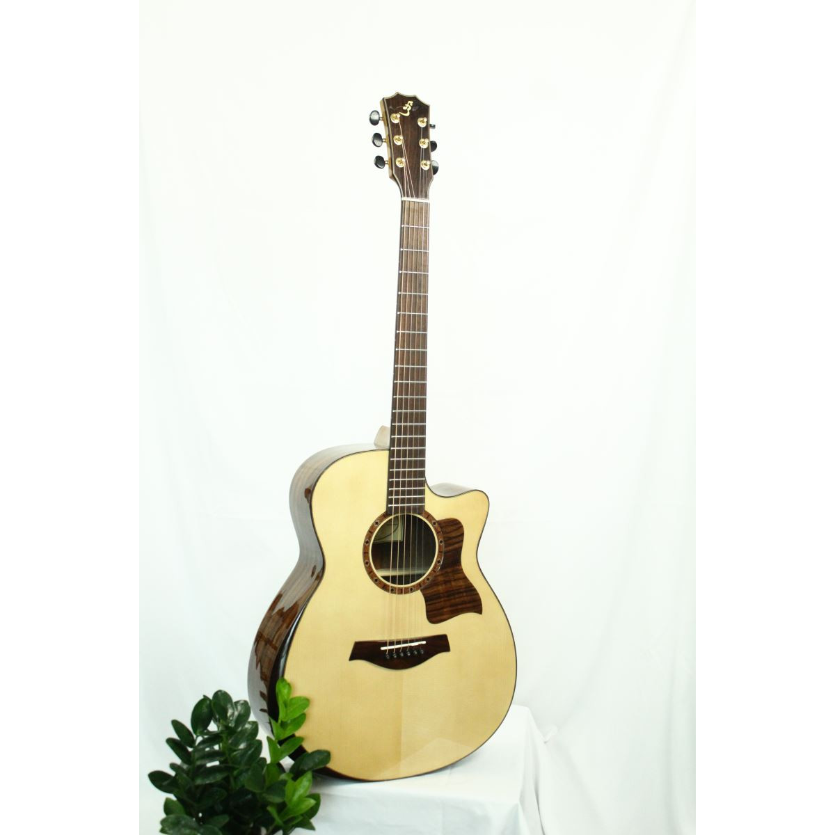 Đàn Guitar Acoustic T600 (Full Solid)