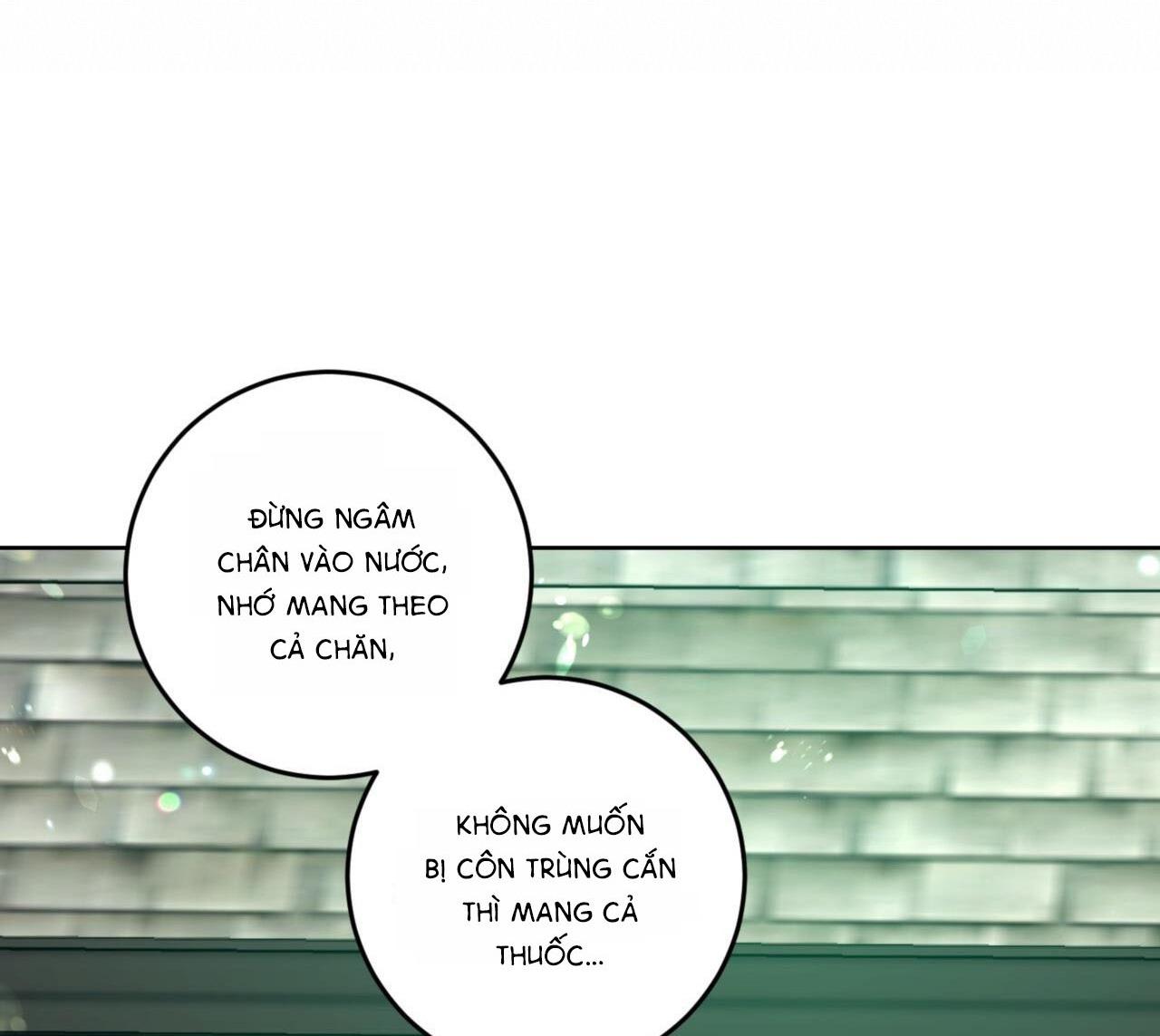 khu rừng tĩnh lặng chapter 3 74