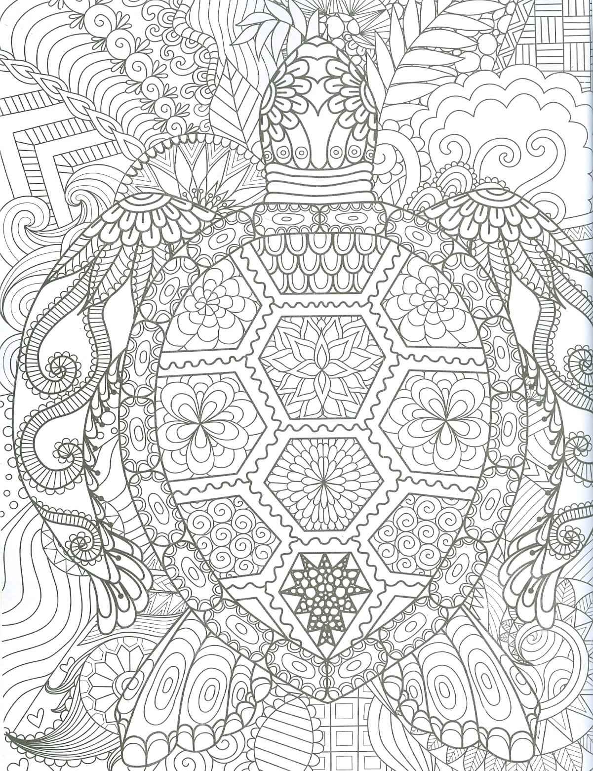 Ocean - Adults Colouring Book