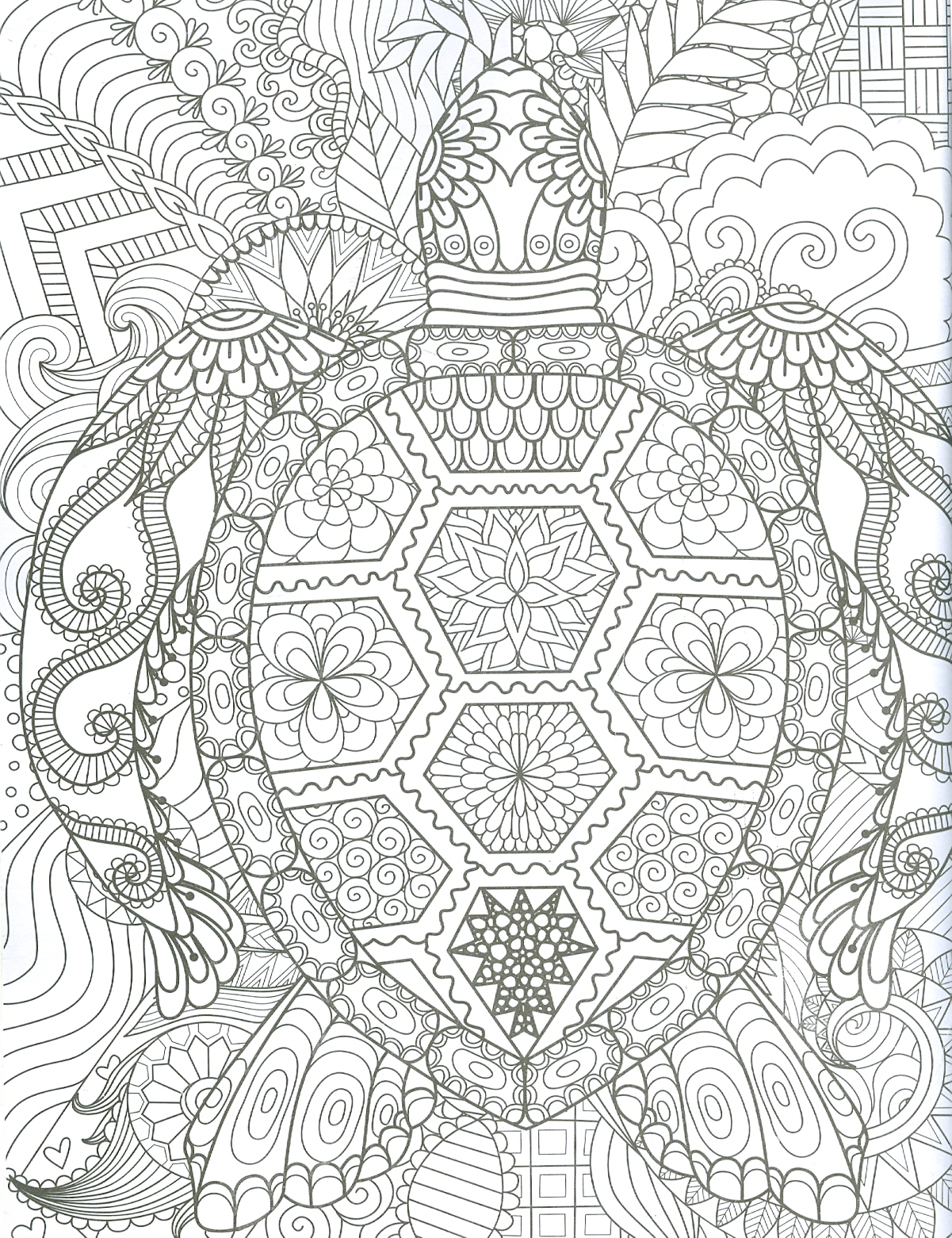 Ocean - Adults Colouring Book (Sách Tô Màu Dành Cho Người Lớn: Đại Dương)