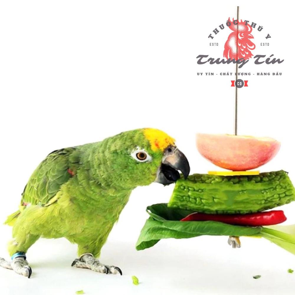 Dụng cụ gim thức ăn , trái cây dành cho chim , sóc , gà , thú cưng nhỏ thép không gỉ