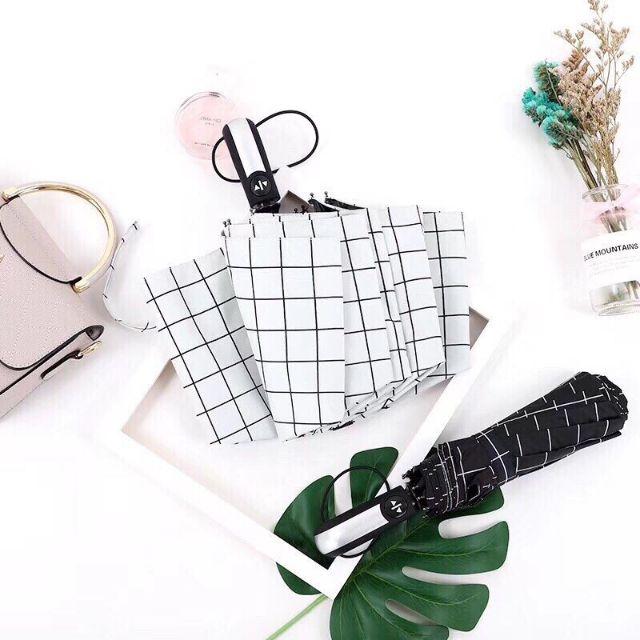 Ô tự động 2 chiều