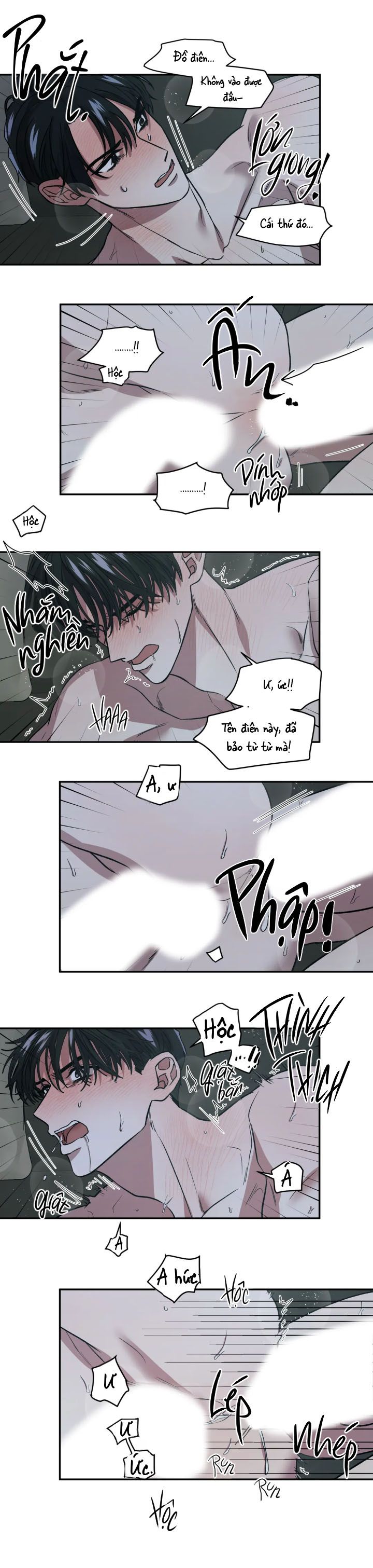ám ảnh pheromone chapter 13 12