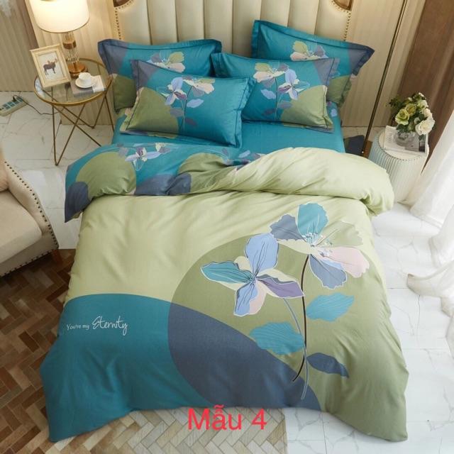 Bộ cotton oragnic 4 món màu sắc mới