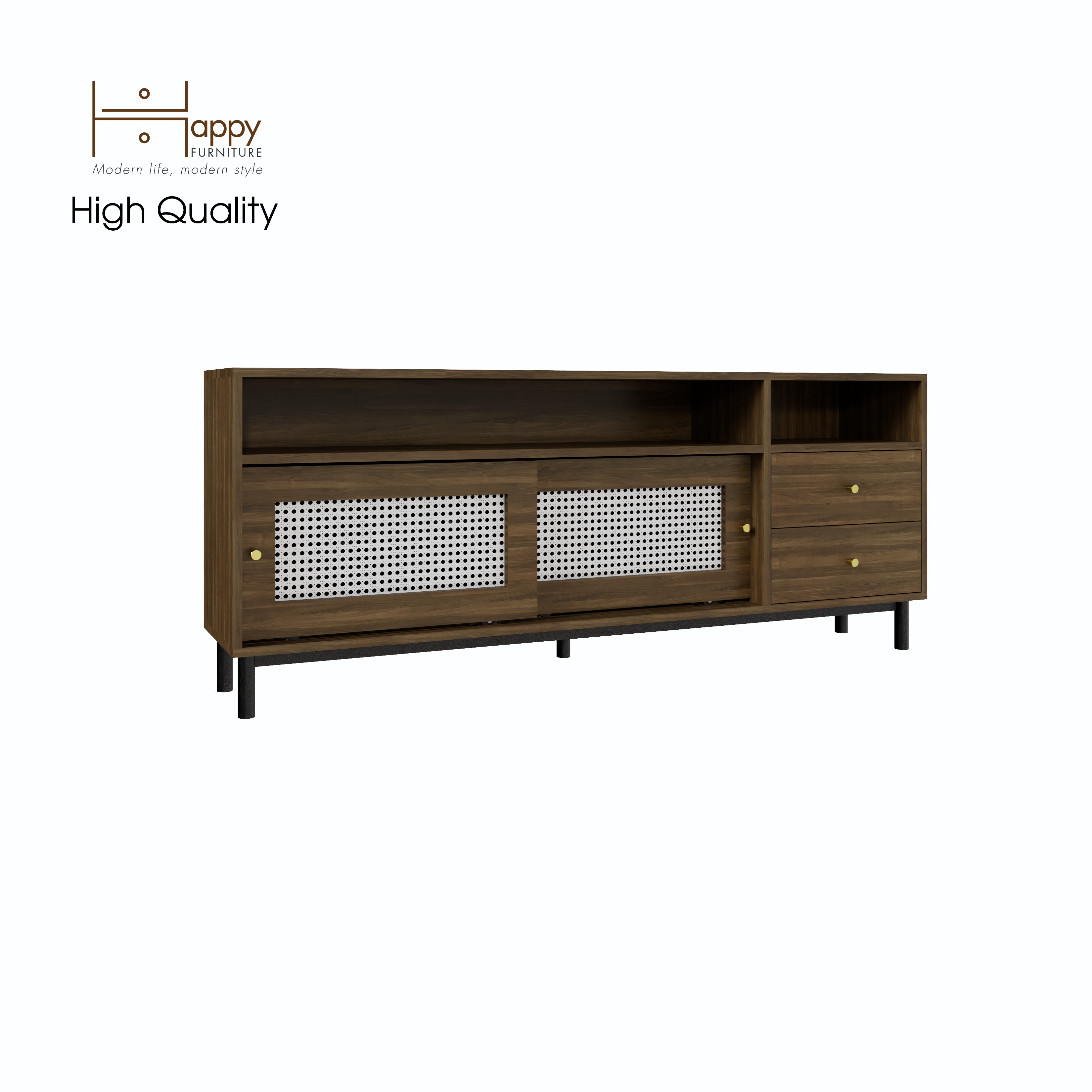 [Happy Home Furniture] ROTAN, Tủ lưu trữ 2 cánh lùa - 2 ngăn kéo - chân sắt, 160cm x 30cm x 64cm ( DxRxC), TCL_032