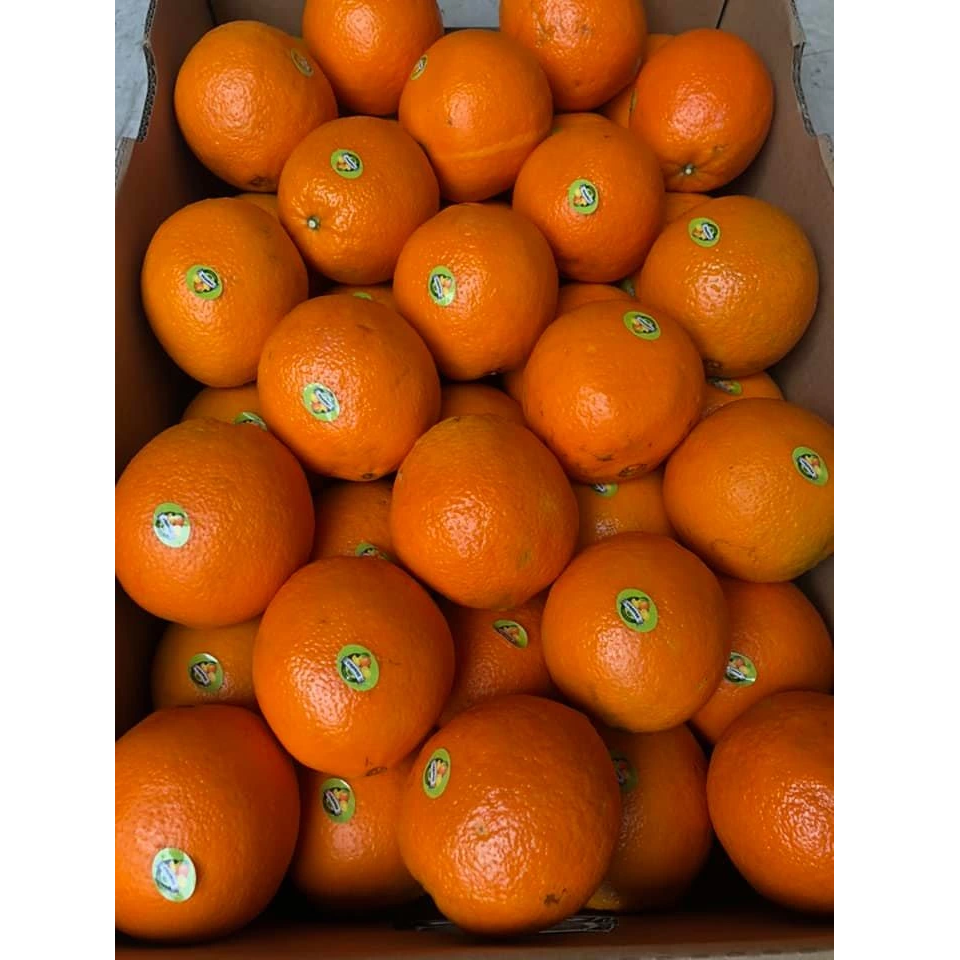 Cam Vàng Úc sz40 - 16 kg