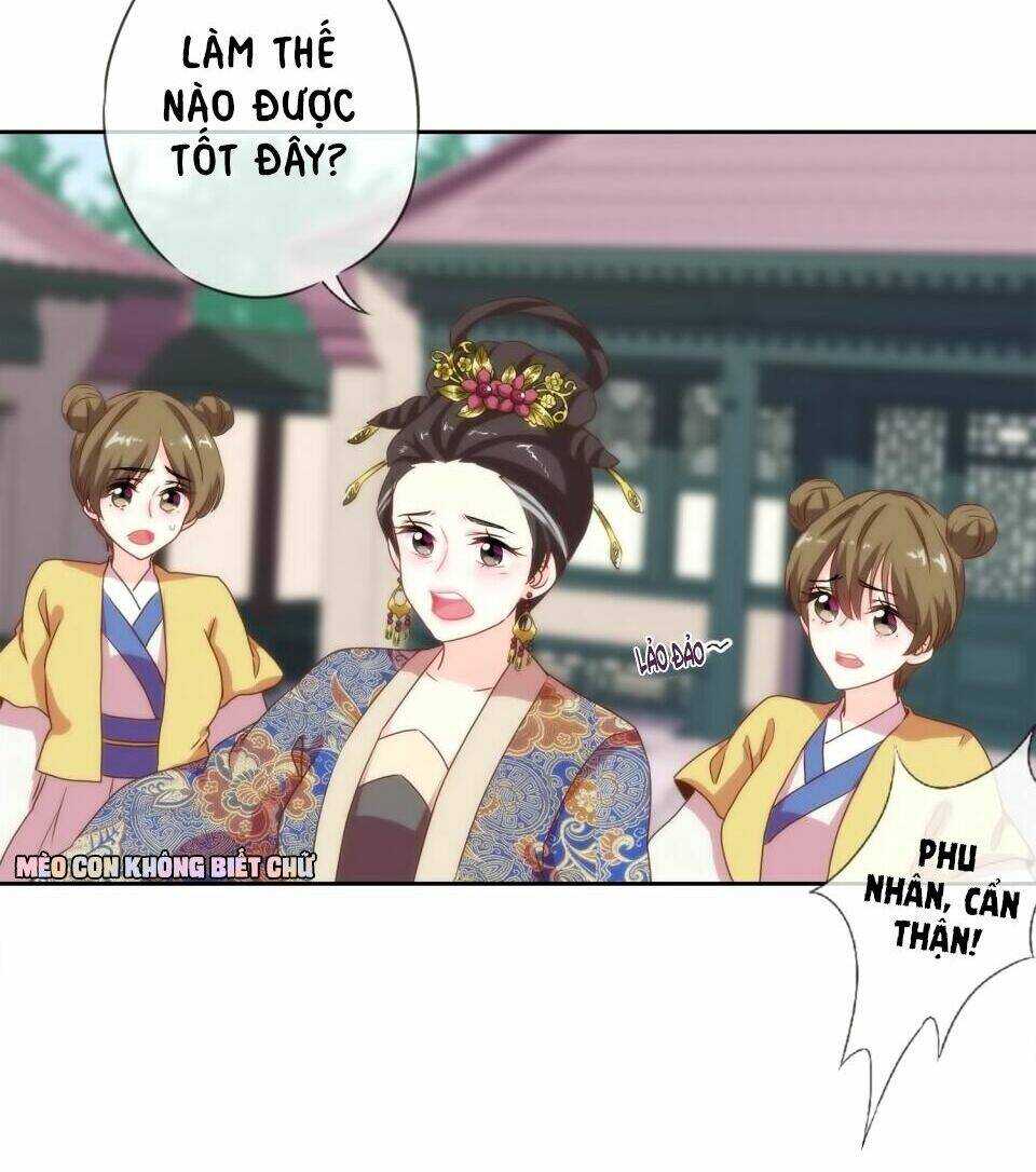 ồ, sủng phi đại nhân của ta chapter 3 32