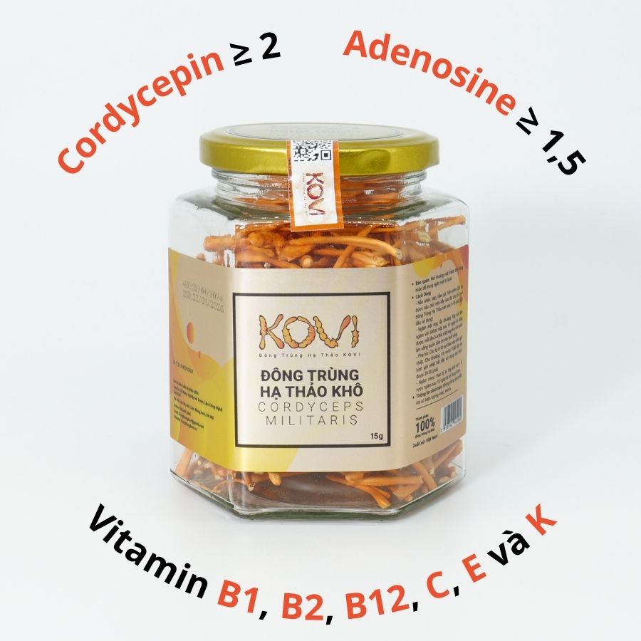 Đông trùng hạ thảo KOVI khô sấy thăng hoa 15g | Hàm lượng dược chất cao 4 sao OCOP