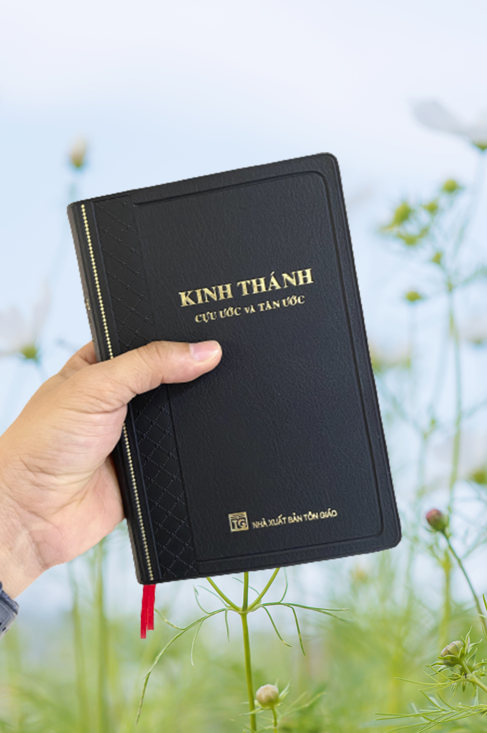 Sách - KINH THÁNH TIẾNG VIỆT BẢN TRUYỀN THỐNG 1925, Khổ trung 12 x 18 cm