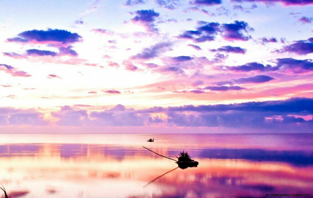 album natural wallpapers chapter 10 5