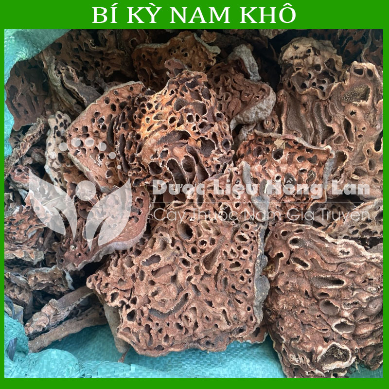 500G Bí Kỳ Nam khô sạch loại 1