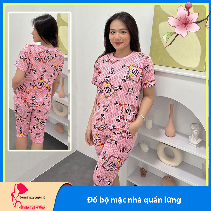 Đồ bộ mặc nhà quần lững LN1 - Đồ ngủ mặc nhà nữ - Đồ bộ nữ lững - Bộ đồ nữ mặc nhà