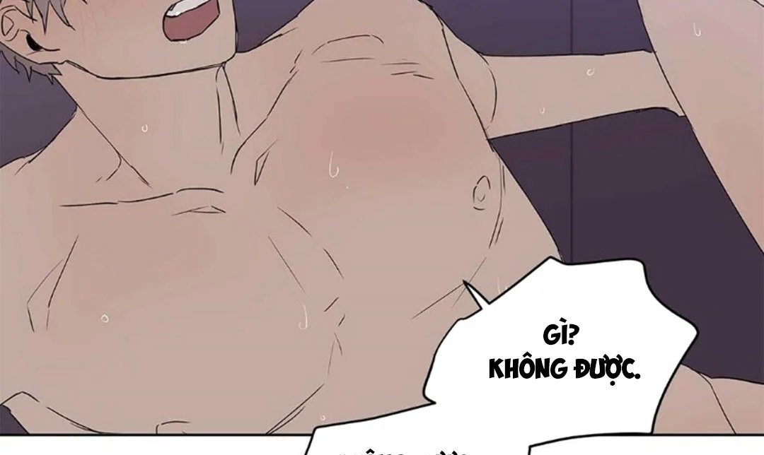 guide cấp b chapter 22 39