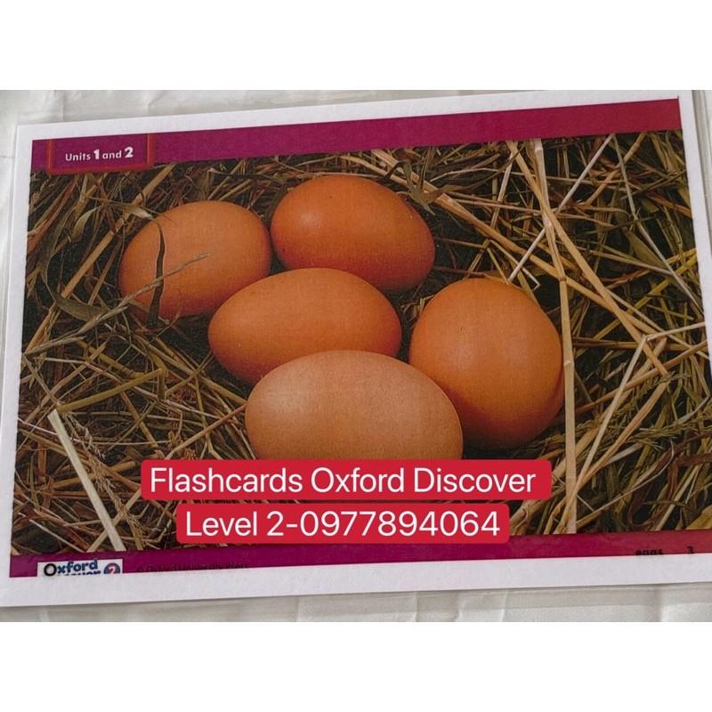 Flashcards Oxford Discover Level 2- Thiết kế 2 mặt - ép plastics bền đẹp