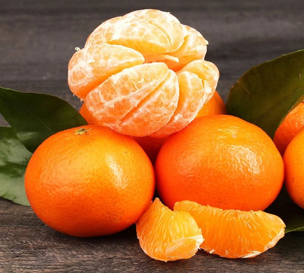 Quýt nhỏ