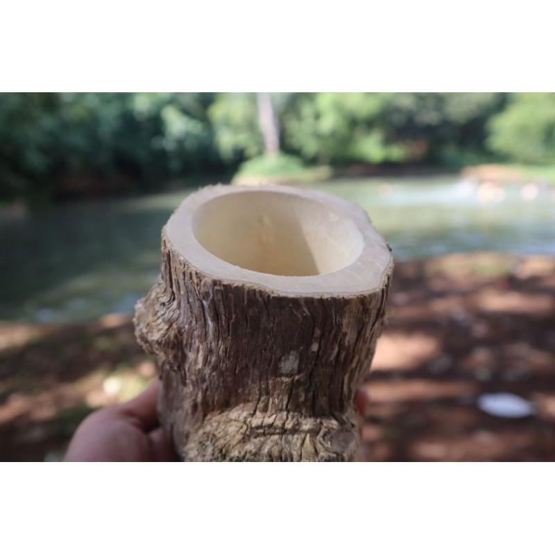 Chậu gỗ tự nhiên trồng sen đá