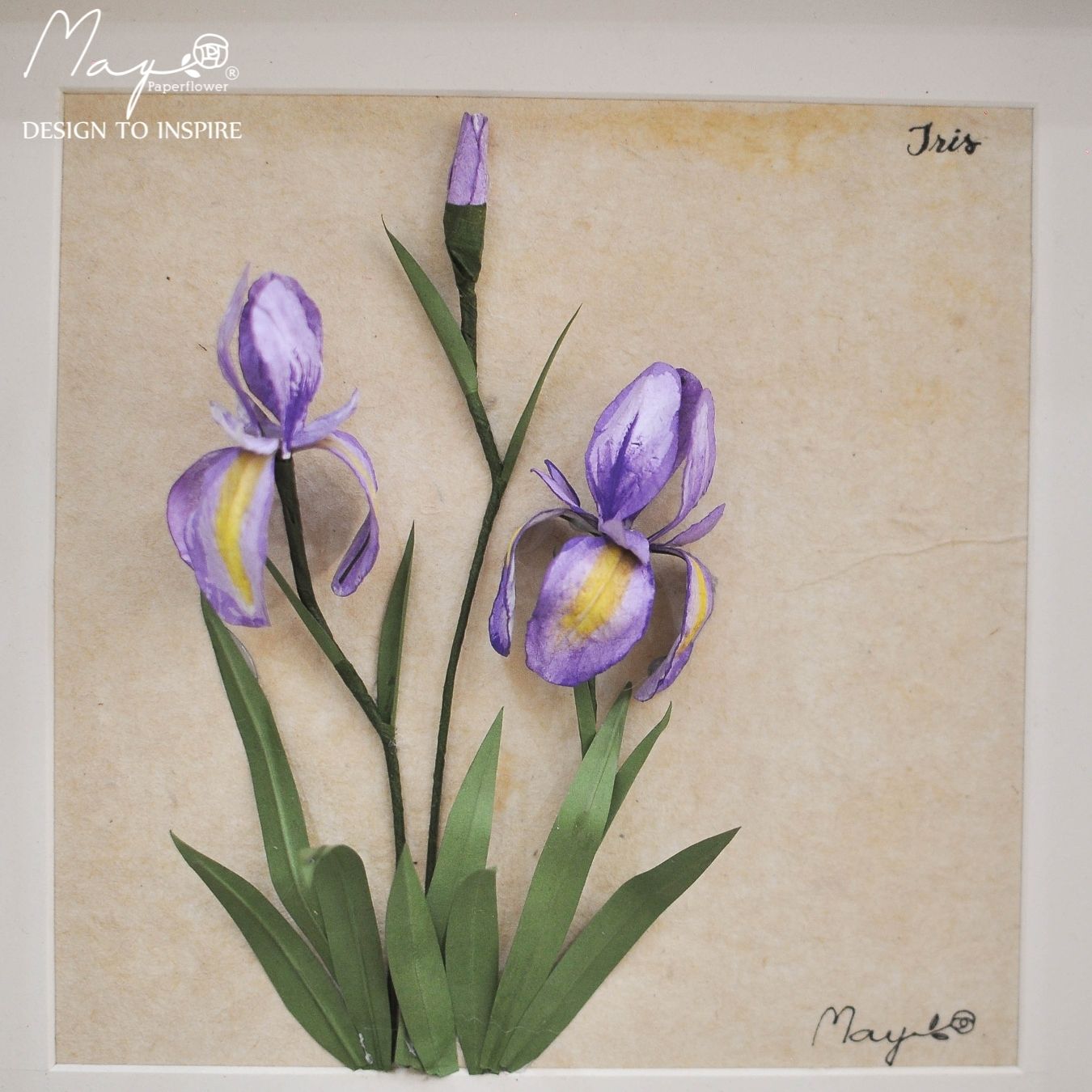 Tranh Hoa Giấy Handmade Trang Trí - Hoa Diên Vỹ Kết Hợp Giấy Dó MAYPAPERFLOWER Khung Tranh Gỗ Size 25x25cm