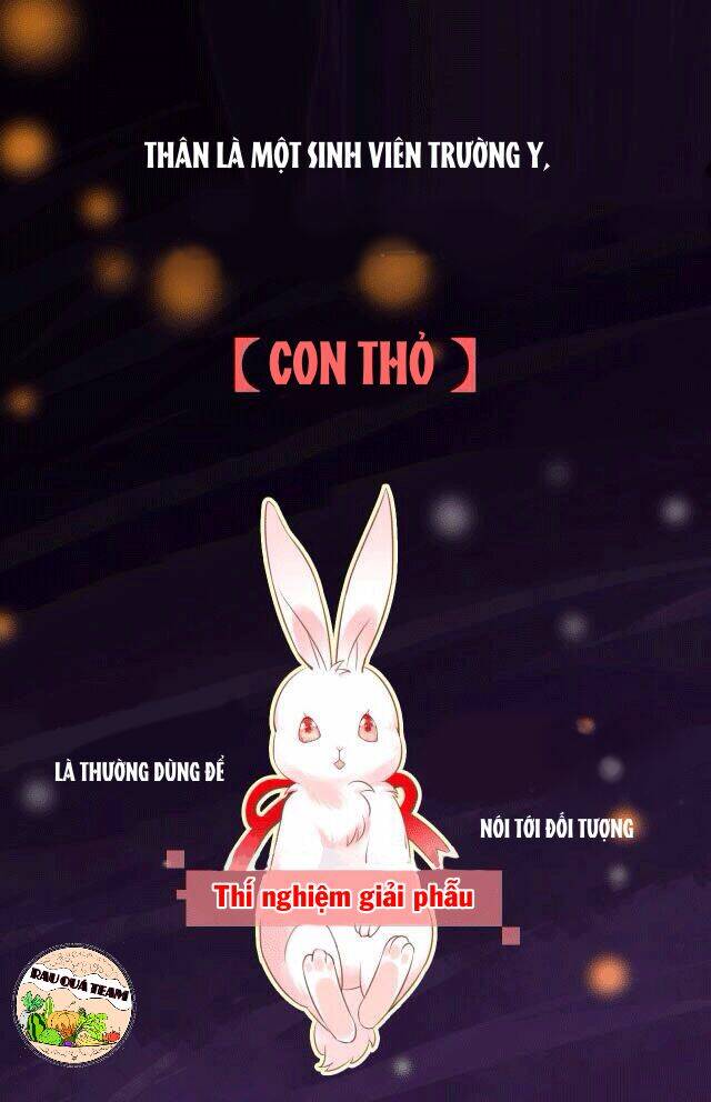 hắc hóa nam chính trực tuyến nuôi thỏ chapter 1 1