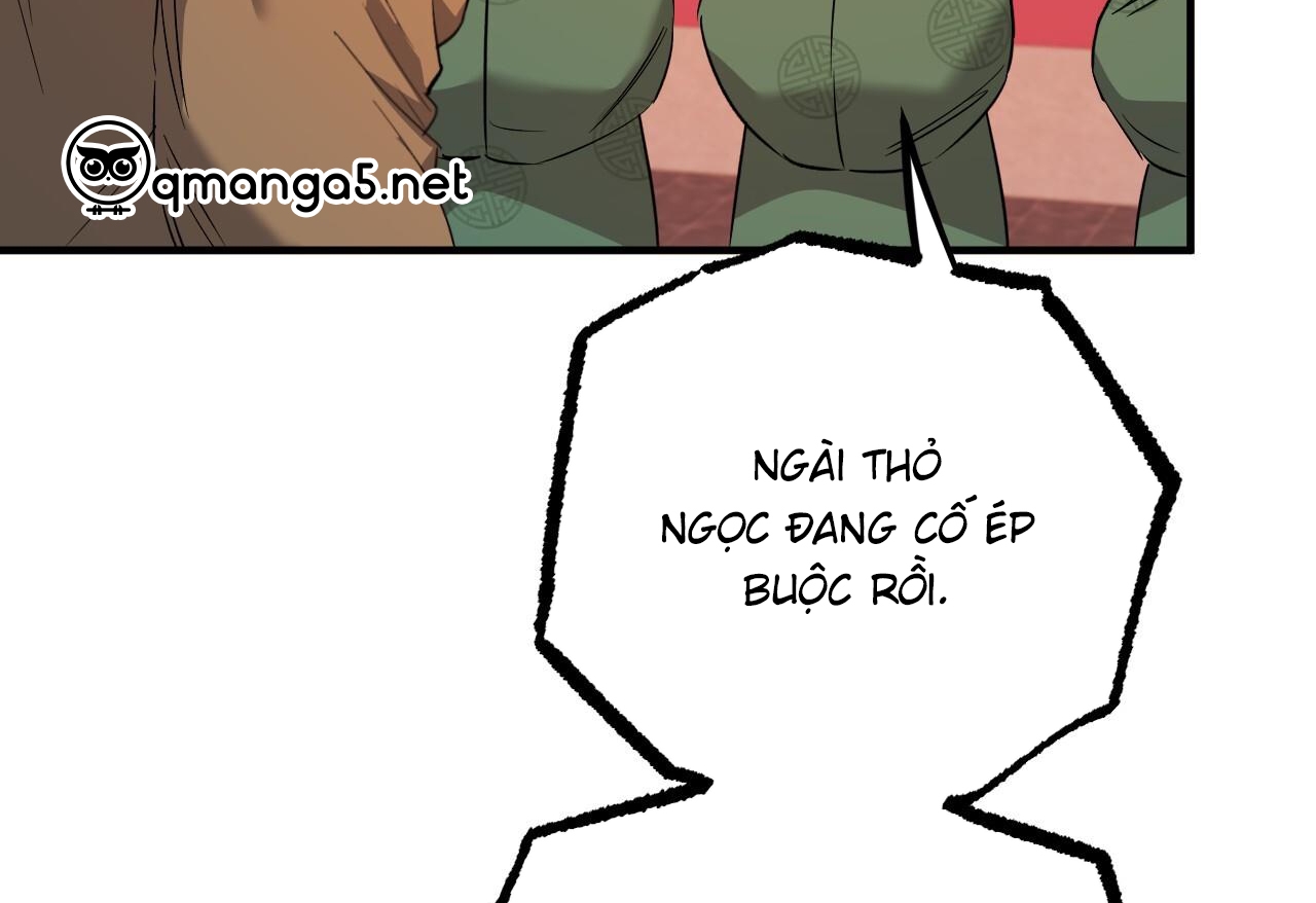 NHỮNG CHÚ THỎ CỦA HAPYPY chapter 62